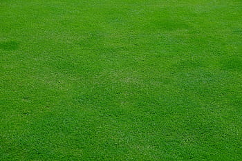 Island Edge Lawn and Garden Care Phillip Island ensures that all gardens looks its best.  For your lawn mowing and garden maintenance see me, it will be done right every time.