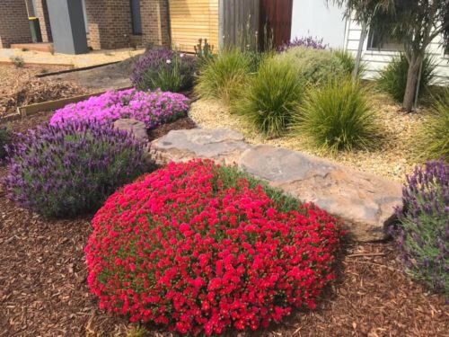 Gem Landscape Group will give you the Island landscape you are after for your property. Over 20 years in this trade, we are highly knowledgeable of this region, so call me now to discuss your needs.