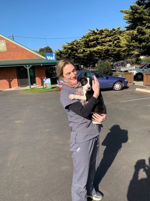 Cowes Veterinary Surgery team are highly skilled and care about all animals.  This vet clinic in Phillip Island will look after and help make your beloved pets life easier.