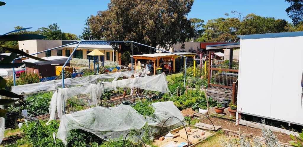 One of the many courses and programs run by PICAL is the very popular community garden. Please come and join us.
