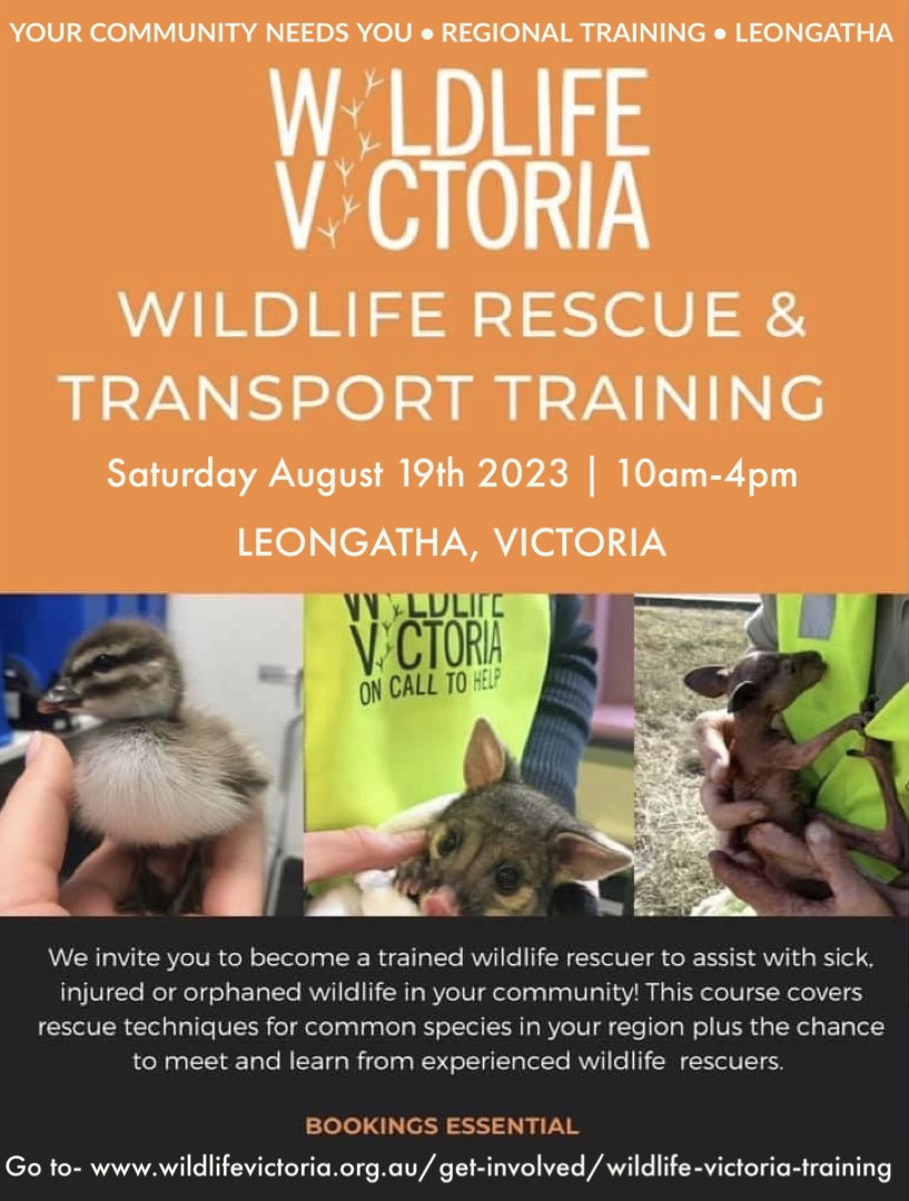 Wildlife Rescue and Trandsport Training invites you to become a trained wildlife rescuer to assit with sick, injured or orphaned wildlife in your community.